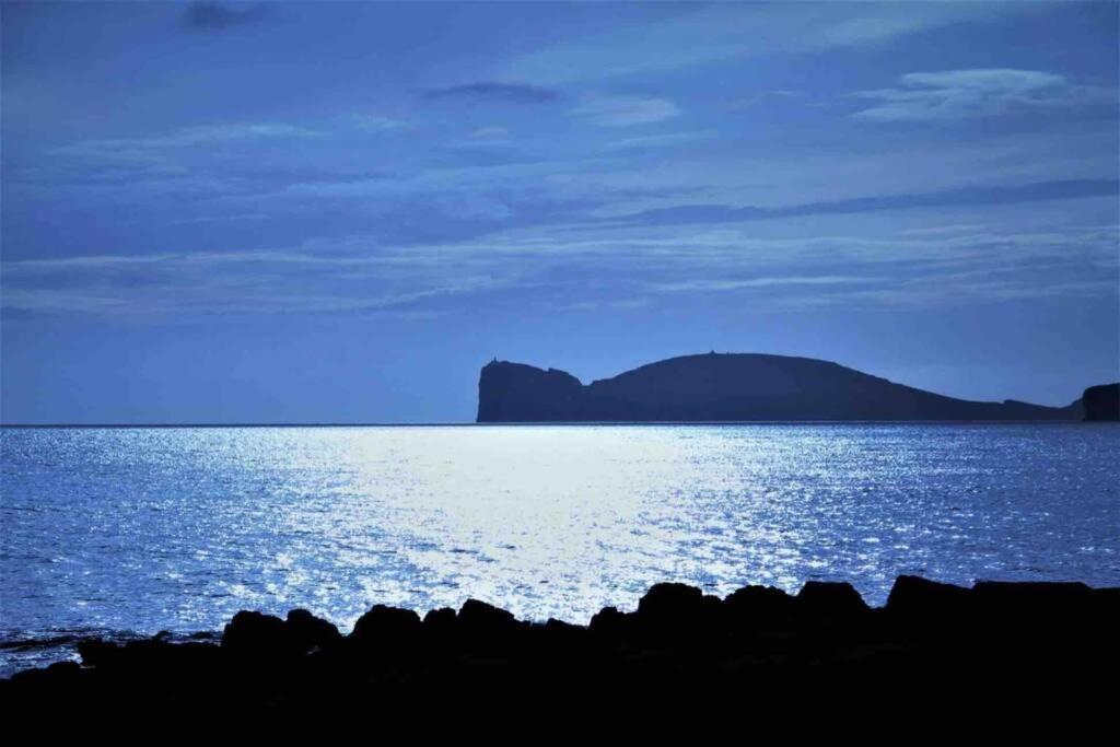 Alghero Sun & Sea - Spiaggia A 50 Metri Εξωτερικό φωτογραφία