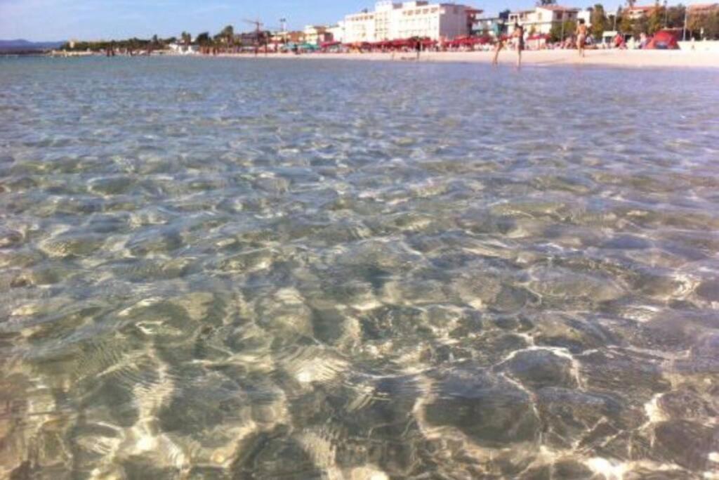 Alghero Sun & Sea - Spiaggia A 50 Metri Εξωτερικό φωτογραφία